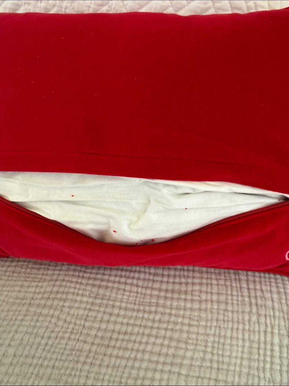 JONATHAN ADLER Pillow: “I don’t get out of bed for less than $10,000 a day”